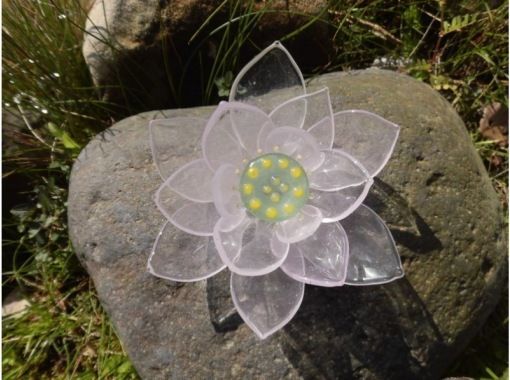 ガラス工房アルコス Gallery & CAFE のギャラリー