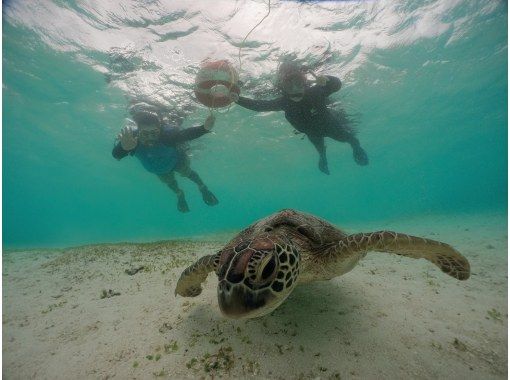 海メルトの予約・アクセス・営業時間 | アクティビティジャパン