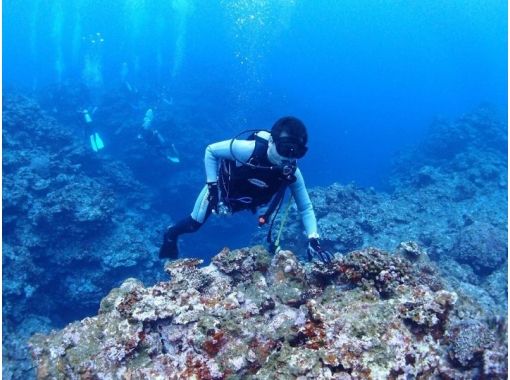 石垣島トータルマリンの割引プラン