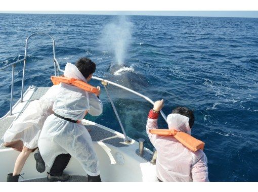 サウスtoサウス(South to South) のギャラリー