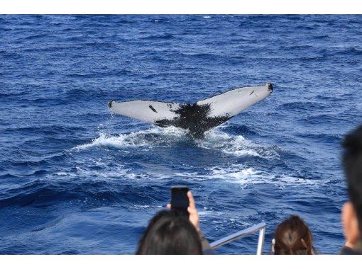 サウスtoサウス(South to South) のギャラリー