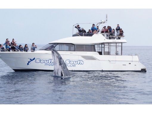 サウスtoサウス(South to South) のギャラリー