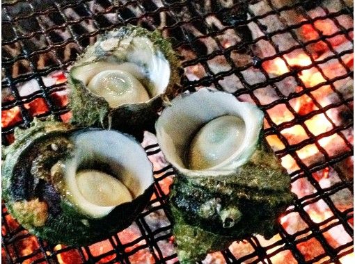 HADASHI のギャラリー