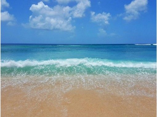 青の洞窟専門 沖縄ダイビングショップ和 のギャラリー