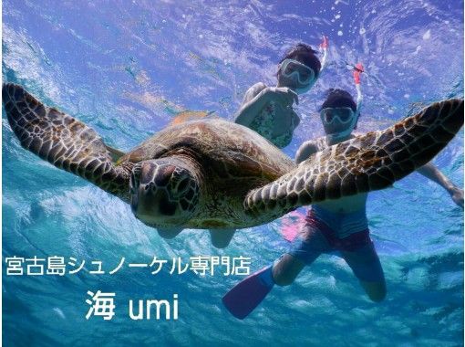 宮古島シュノーケル専門店 海umi のギャラリー