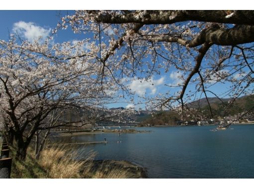 fujisanbike 河口湖 のギャラリー