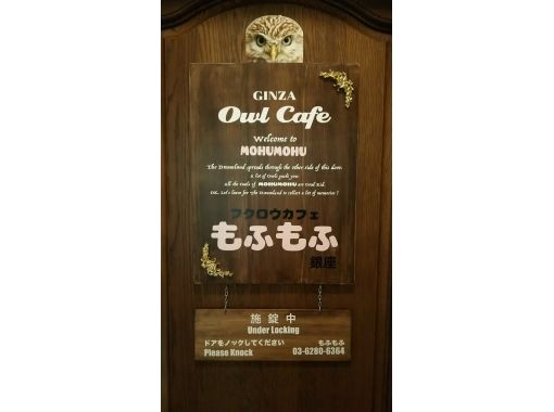 フクロウカフェもふもふ　銀座店 のギャラリー