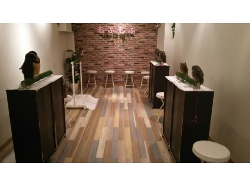 フクロウカフェもふもふ　銀座店 のギャラリー