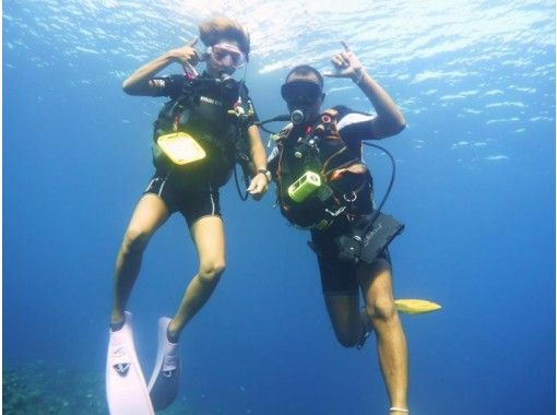 プロスキューバチームSEALs(シールズ) のギャラリー