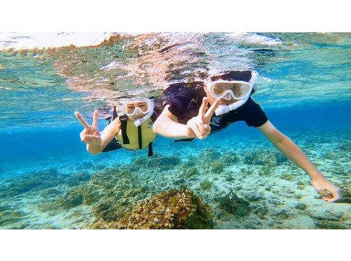 Sea Chan 石垣島 のギャラリー