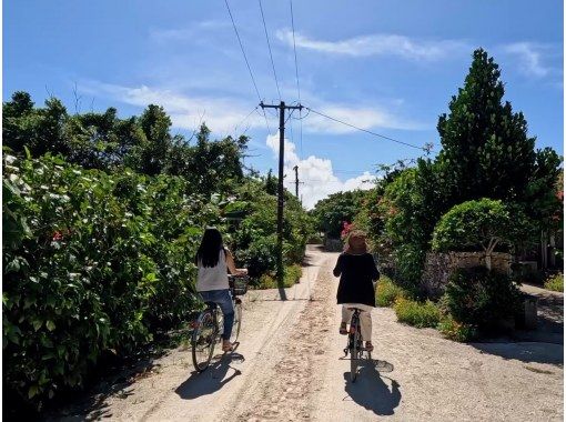 西表島ツアーNGAF のギャラリー