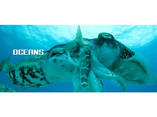 オーシャンズ石垣島(OCEANS) のギャラリー