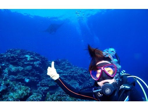 八重山 Diving Service Field のギャラリー