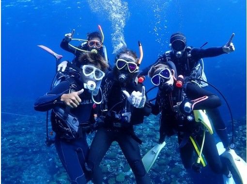 八重山 Diving Service Field のギャラリー