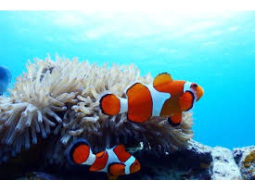 美南海 名護店 のギャラリー