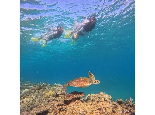 マリンクラブクレア のギャラリー