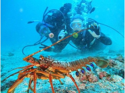 伊豆高原ダイビング リトルリッツ Reservations・Access・Operating