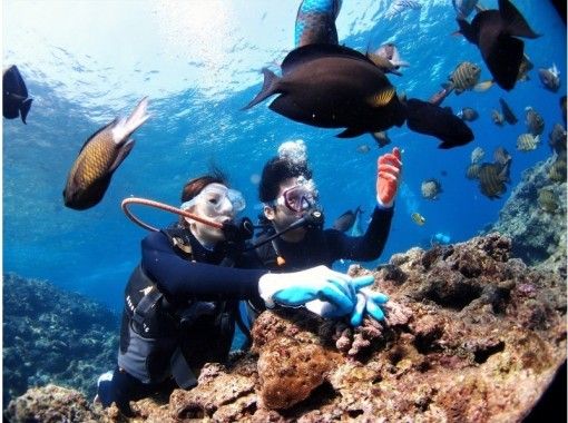Diving Shop Lei のギャラリー