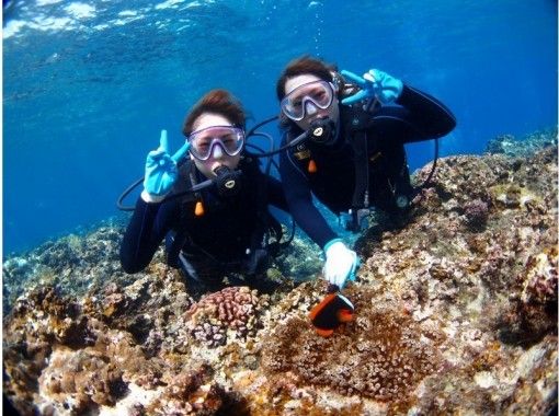 Diving Shop Lei のギャラリー