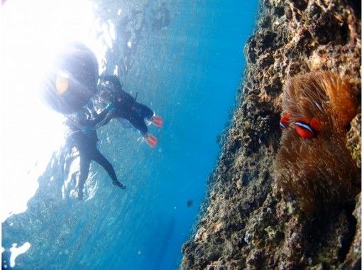 Diving Shop Lei のギャラリー