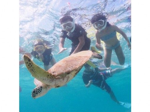 ぷくぷくの予約 アクセス 営業時間 アクティビティジャパン