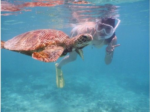 ぷくぷくの予約 アクセス 営業時間 アクティビティジャパン