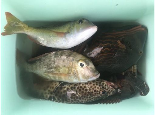 一組貸切開催　船釣り専門店「備瀬の海」 のギャラリー