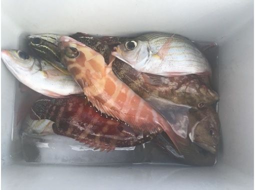 一組貸切開催　船釣り専門店「備瀬の海」 のギャラリー