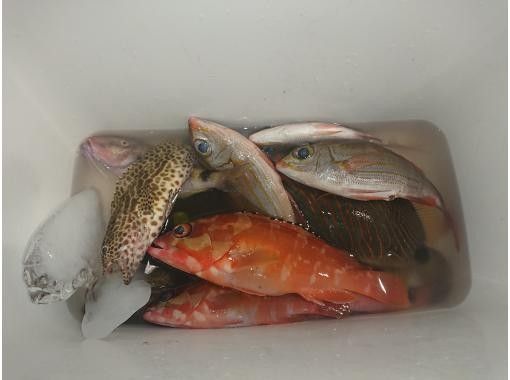 一組貸切開催　船釣り専門店「備瀬の海」 のギャラリー