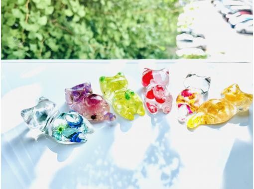 フランスカルチャーサロン ラ ベルヴィ のギャラリー