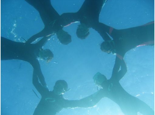 aqua style のギャラリー