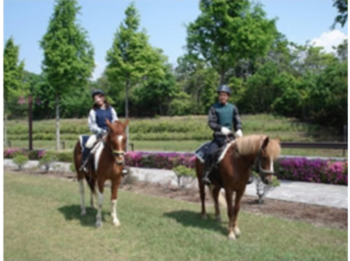Mikiホーストレック Miki Horse Trek の予約 アクセス 営業時間 アクティビティジャパン Mikiホーストレック Miki Horse Trek の予約 アクセス 営業時間 アクティビティジャパン