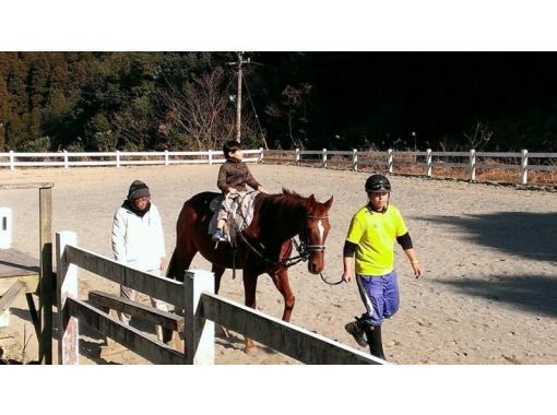 ふれあい乗馬くらぶ 蹄跡の森 清武ホースパーク のギャラリー