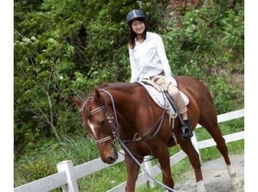 ふれあい乗馬くらぶ 蹄跡の森 清武ホースパーク のギャラリー