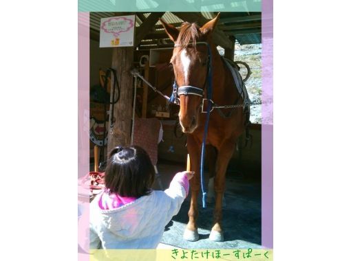ふれあい乗馬くらぶ 蹄跡の森 清武ホースパーク のギャラリー
