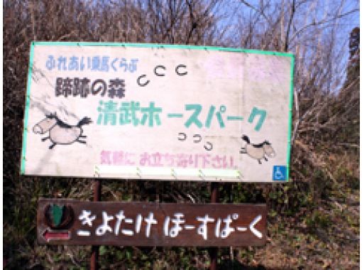 ふれあい乗馬くらぶ 蹄跡の森 清武ホースパーク のギャラリー