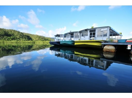 西表島 浦内川観光 Iriomote Island Urauchigawa Kankou の予約 アクセス 営業時間 アクティビティジャパン 西表島 浦内川観光 Iriomote Island Urauchigawa Kankou の予約 アクセス 営業時間 アクティビティジャパン