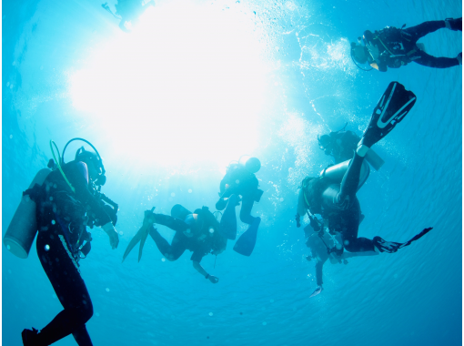 Diving  School  Tiara のギャラリー