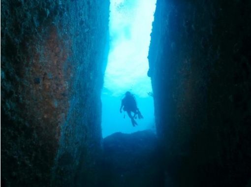 Diving  School  Tiara のギャラリー