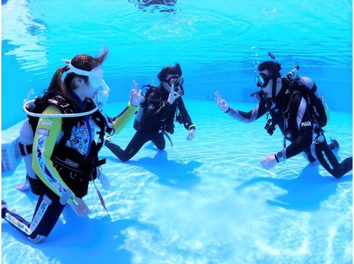 Diving  School  Tiara のギャラリー