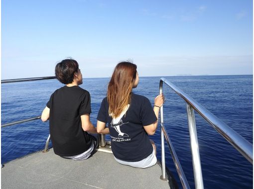 Diving  School  Tiara のギャラリー