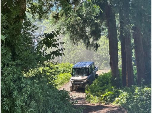 Y.O.G.C のギャラリー