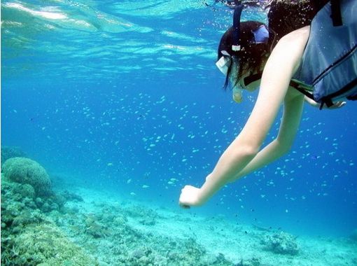 ネイチャーランドカヤックス(NatureLand Kayaks) Reservations・Access