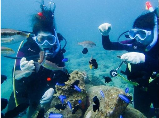 徳島ダイビングサービス 海達の予約・アクセス・営業時間