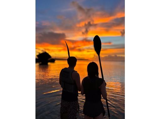 ㈱ピンクマーメイド(Pink Mermaid) のギャラリー