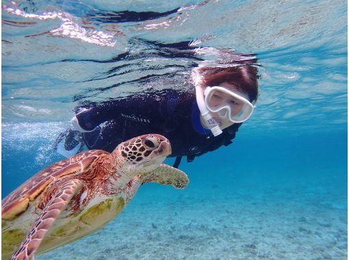 ReeftourHONEY のギャラリー