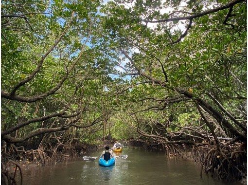 marinemate Luana のギャラリー