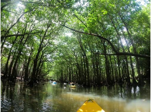 marinemate Luana のギャラリー