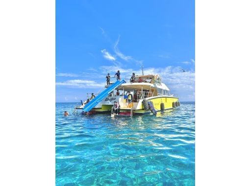 OPG のギャラリー