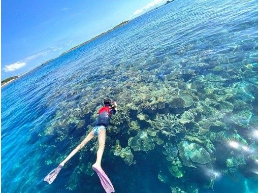 OPG のギャラリー